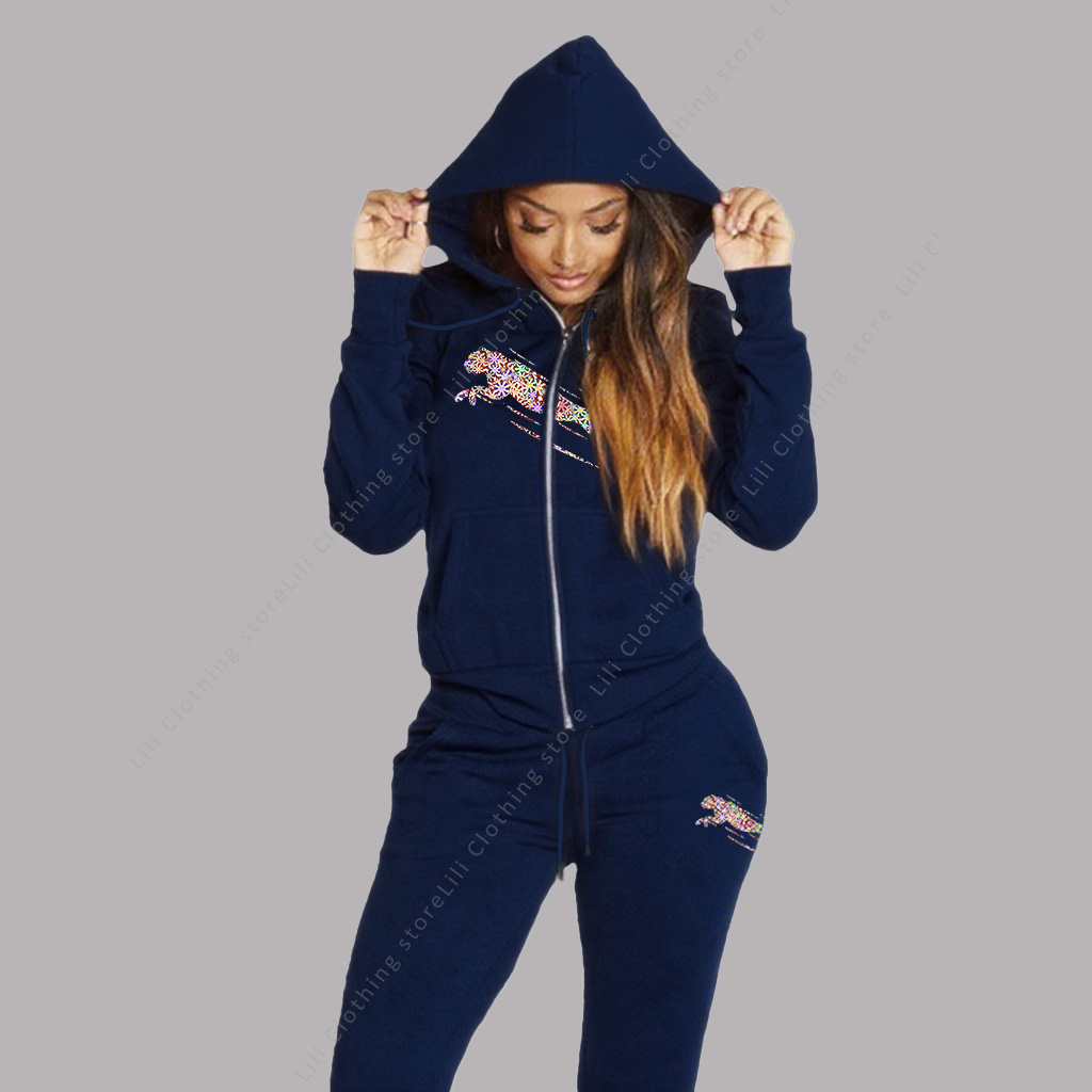 Winter Wear Clothes - Women's Track Suit Aesthetic Hoodies Sweatshirts