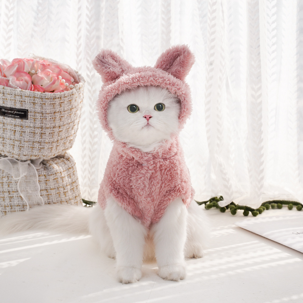 Rabbit Ear Comfortable Cotton  - đánh giá và giá Fleece Hoodie Lined